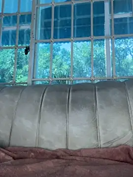 SophieD online show from February 12, 1:13 pm