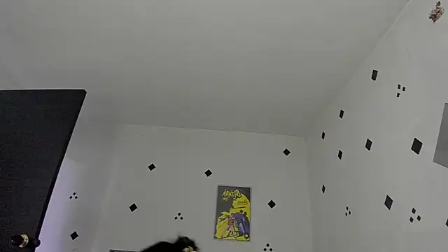 samaramour online show from February 21, 6:19 pm