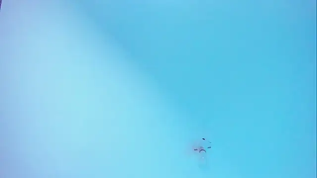 Im naho online show from November 19, 10:10 pm