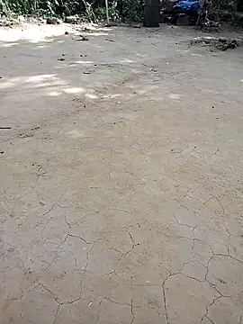 Pinki bhabi 2002 online show from November 20, 6:36 am