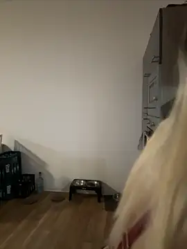 stelli 99 online show from October 22, 3:50 pm