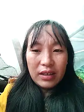 miss-su online show from November 3, 2:26 am