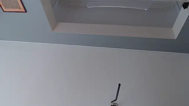 knodli online show from October 21, 11:58 am