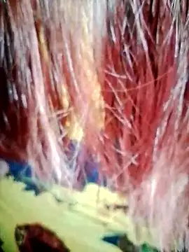 DarkLoverVI online show from December 19, 2:48 am