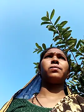 Fasfas2 online show from November 13, 10:25 am