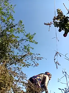 Hot-honi online show from December 18, 7:35 am