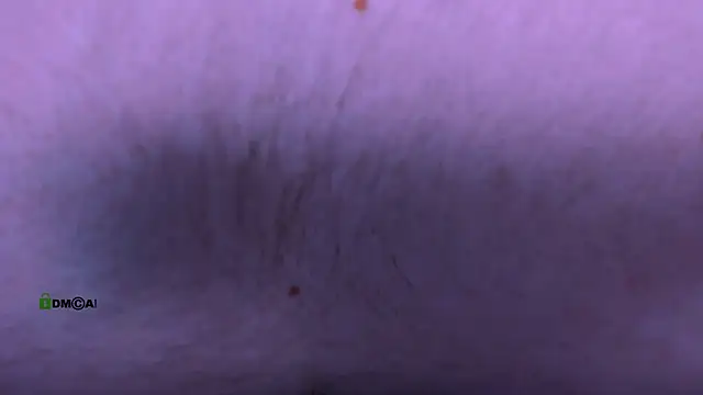 travis wolf  online show from December 14, 8:58 pm