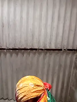 Payal950 online show from November 4, 8:30 am