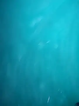 HOT DAAN79 online show from November 4, 7:52 pm