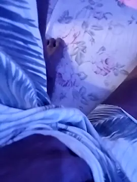 sertaonegro online show from November 12, 1:09 pm