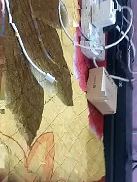 Snapshot of nishatelugu1 chatting on October 16, 5:04 pm nishatelugu1 online show from October 16, 5:04 pm