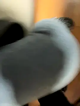 smgirls online show from November 21, 10:17 am