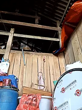 bonnie-00 online show from February 15, 8:24 am