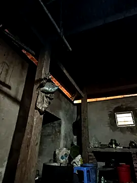 tulipsexy online show from January 7, 5:55 am