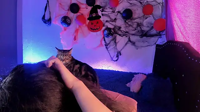 kitty  chs online show from November 1, 5:28 pm