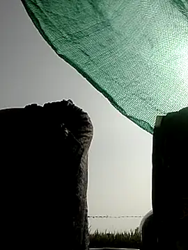 Rs sonam online show from February 17, 9:19 am