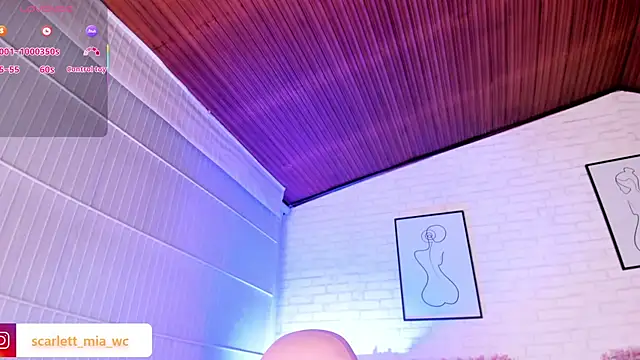 Scarlett fox   online show from November 9, 4:52 am