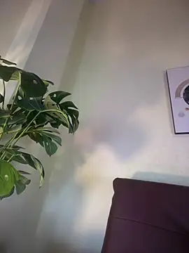 NovaFoxx online show from February 15, 1:54 pm