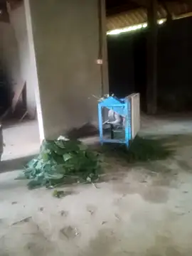 Myzak- online show from November 4, 9:25 am