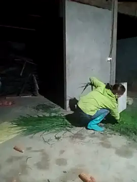 Myzak- online show from November 24, 11:01 am