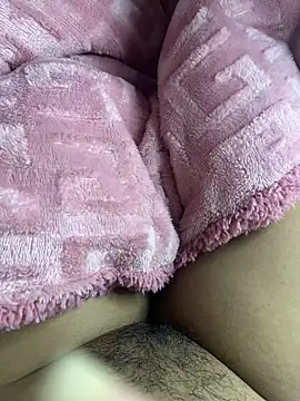 Su-115 online show from November 14, 8:53 pm