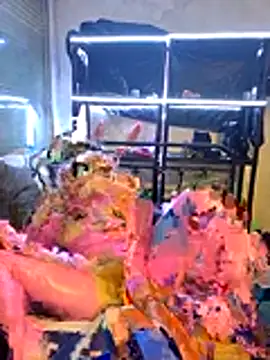 LunaXshade online show from December 16, 12:33 pm