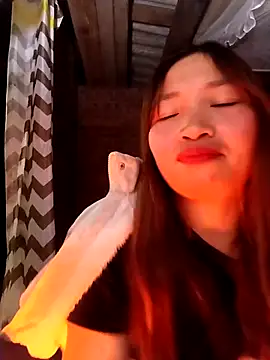 sowbibi online show from February 5, 3:59 pm