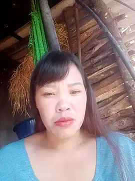 yangyo online show from November 23, 3:53 am