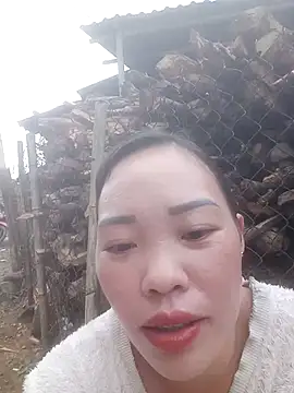 yangyo online show from November 8, 8:19 am