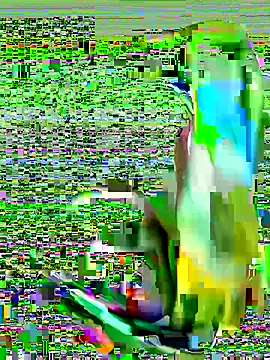 cchairez1188 online show from October 29, 9:39 pm