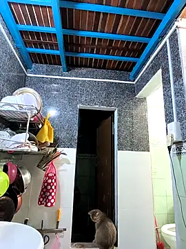 Okleotina9 online show from November 10, 1:06 pm