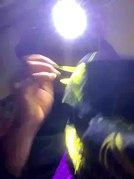 bi-bo123 online show from January 11, 2:22 pm