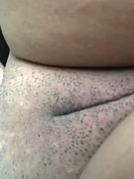  - - gozada-   -  online show from November 4, 5:40 pm