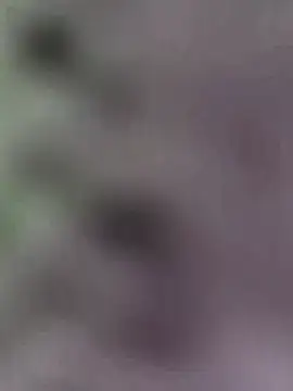 Hot-Sana2 online show from December 21, 9:46 am