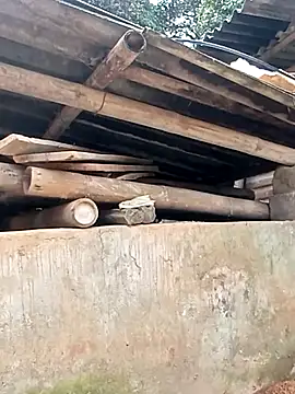 keng-keng online show from November 4, 5:45 am