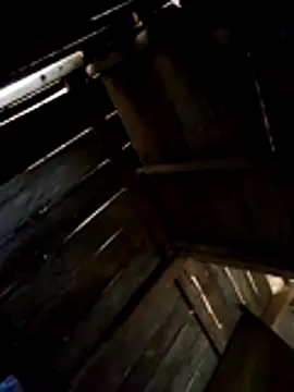 Ana hoa online show from February 23, 8:03 am