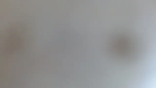 the breasts of desir  online show from December 17, 7:29 pm