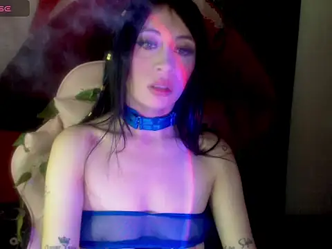 venus-foxy online show from November 11, 4:26 pm