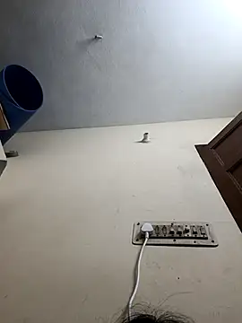 Varshatamil online show from November 13, 8:30 pm