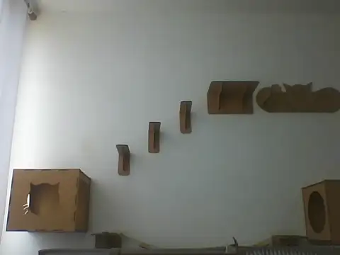 Temp7 online show from March 5, 2:46 pm