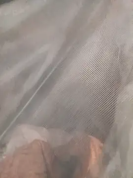 Jelly-squirt online show from February 8, 12:31 pm