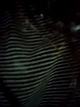 EweXZZ online show from February 24, 2:00 am