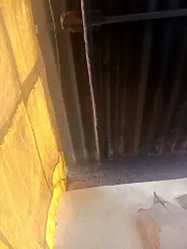 Babita Gori online show from February 11, 2:36 am