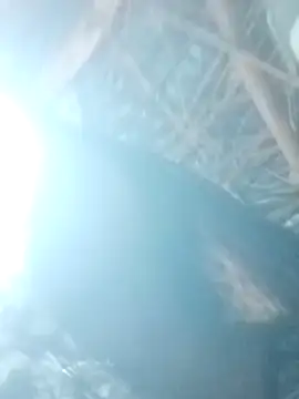 Mohni sekhavat online show from December 15, 7:35 am