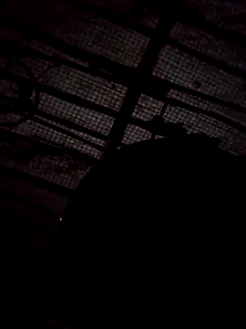 Dream-Girl-69 online show from December 20, 12:09 pm