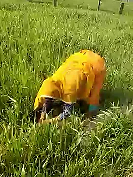 hornycouple20000 online show from January 9, 5:45 am