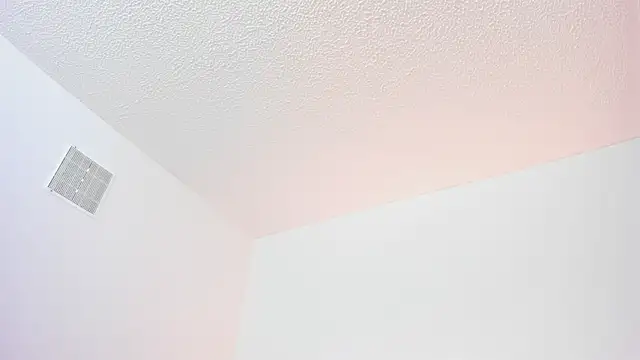 Emily bruss online show from February 13, 3:19 am