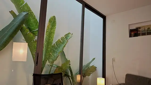 came-a-lot online show from February 2, 3:05 am