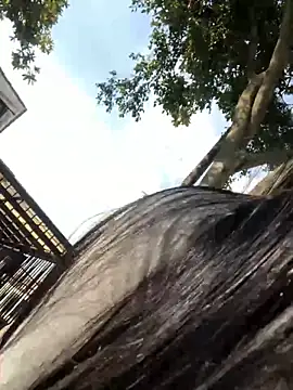 MAVI EC  online show from February 9, 8:22 pm