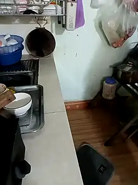 Tulip ii online show from February 11, 5:09 am